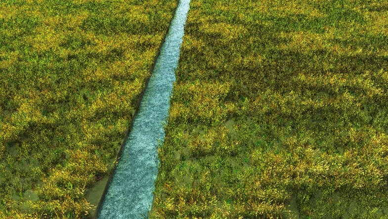 Rough render using Vue xStream