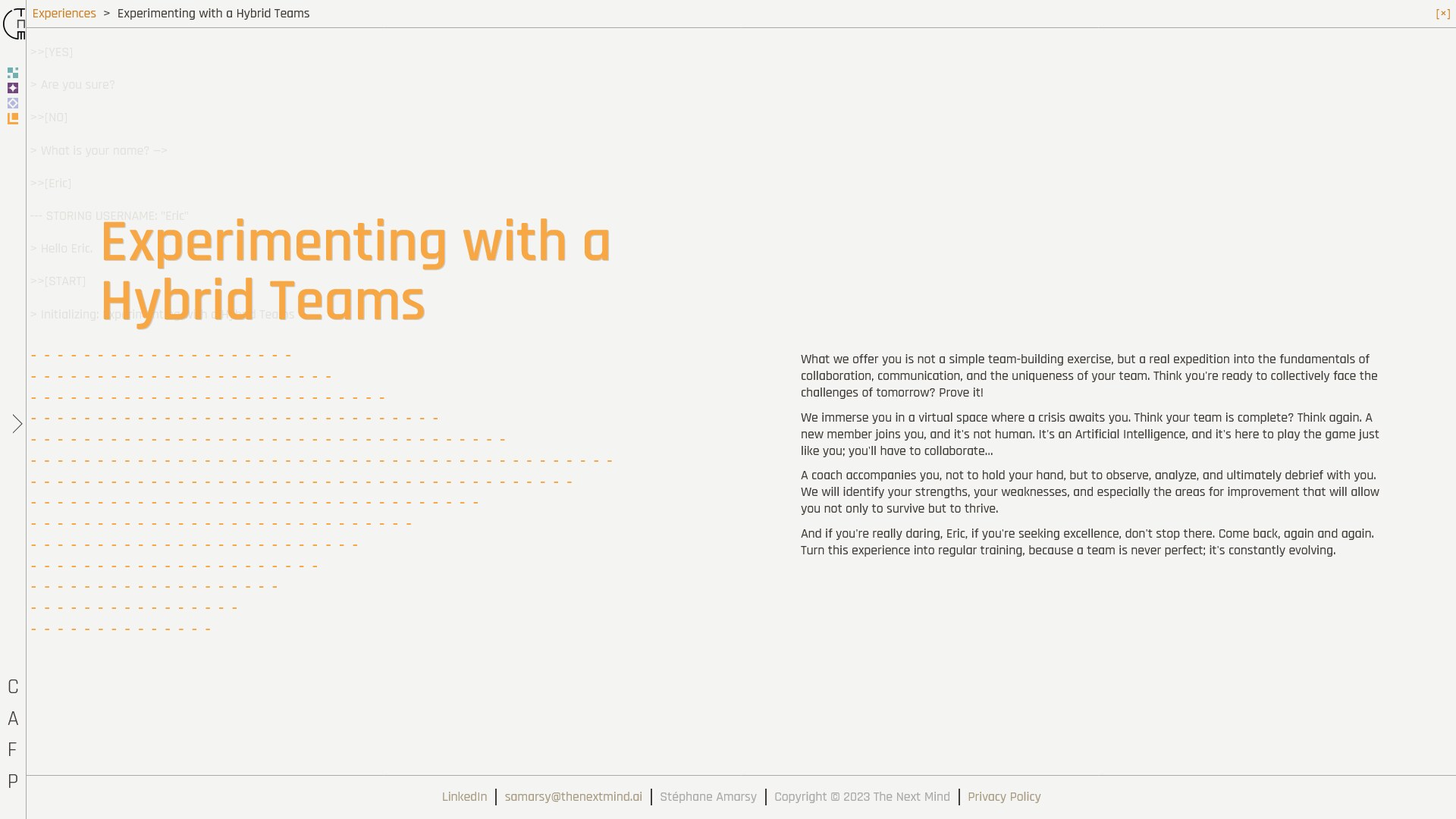 Screenshot of a workshop page with the animated ASCII decoration in view
